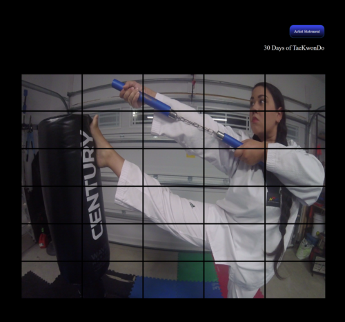 - 30 Days of TaeKwonDo -